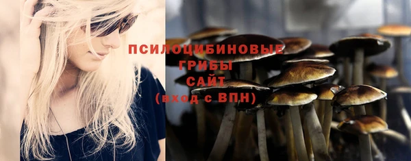 синтетический гашиш Алексин