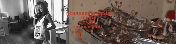 синтетический гашиш Алексин