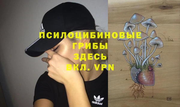 ALPHA-PVP Алексеевка