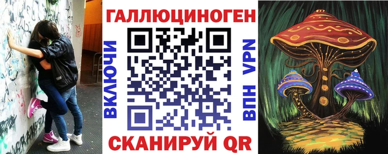 купить Ядрин Галлюциногенные грибы Psilocybine cubensis