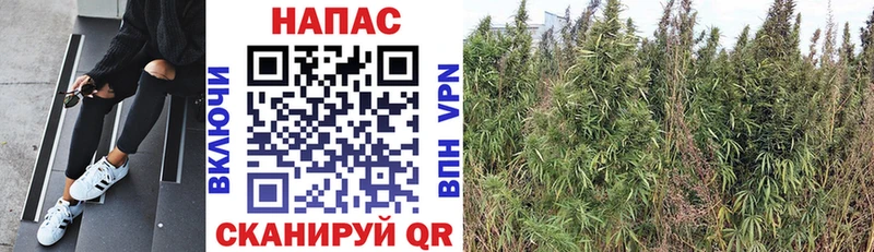 купить наркотики сайты  omg ССЫЛКА  Марихуана THC 21%  Ядрин 